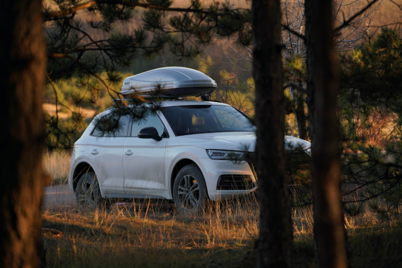 Ein parkendes Auto steht im Wald mit einem Dachkoffer auf dem Dach