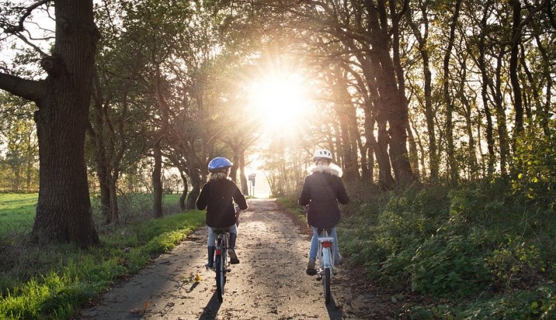 kinder-fahren-wald